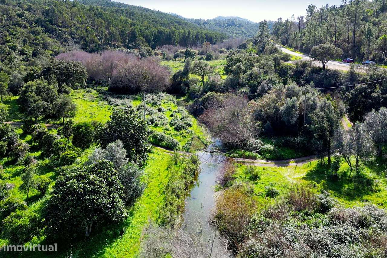 Terreno de 27 Hectares nas Romeiras, Marmelete, Monchique - Grande imagem: 4/28