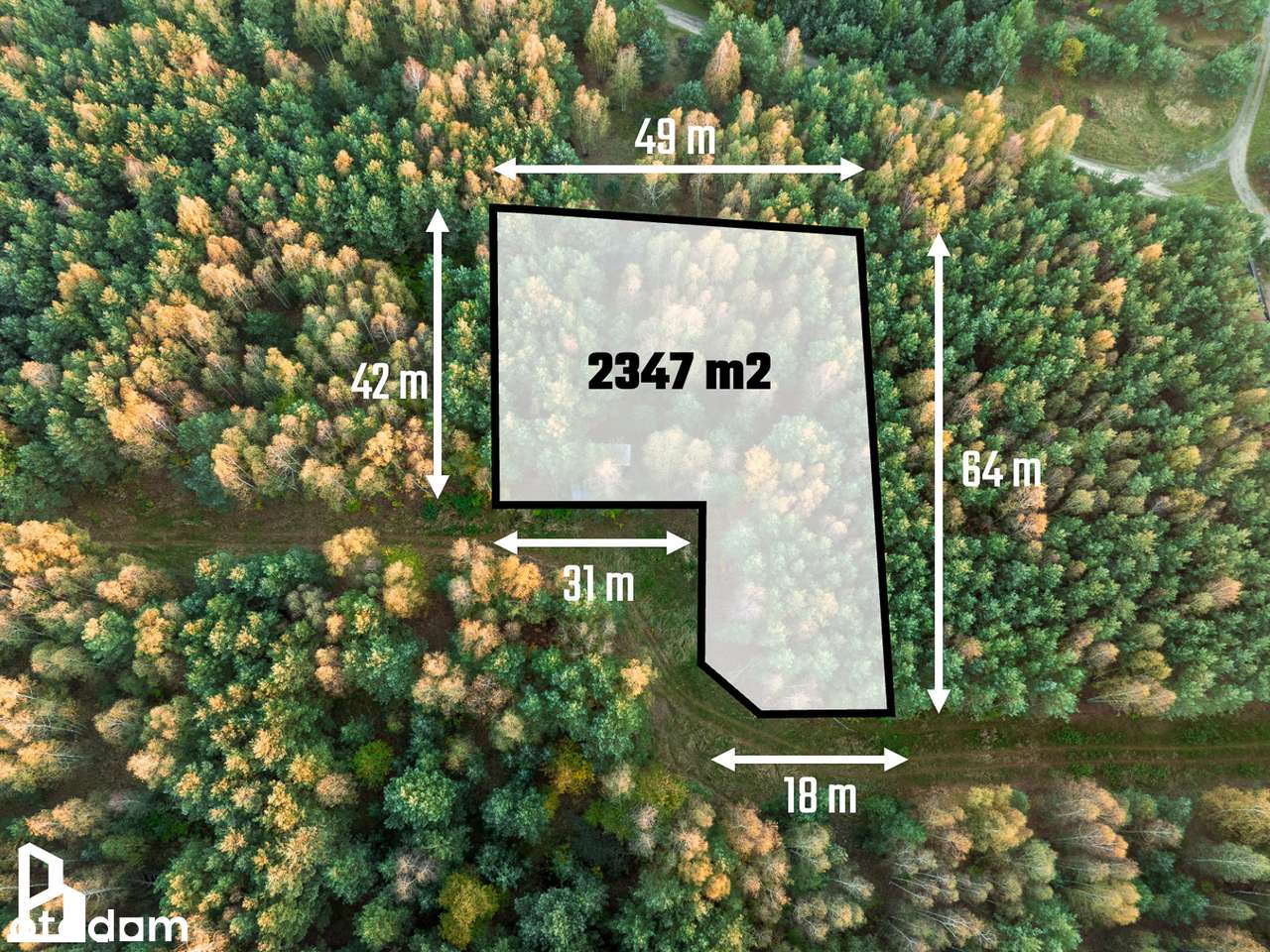 PUSZCZA ZIELONKA | Starodrzew | MPZP - zabudowa mieszkaniowa-5