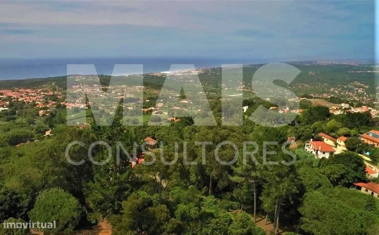 Terreno para Construção com 11640 M2 em Colares, Sintra - Grande imagem: 4/5