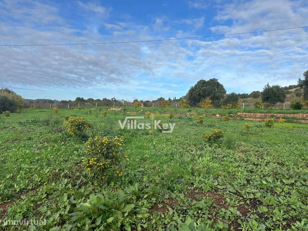 Terreno rústico com poço e bons acessos em Conceição e Estói Algarve. - Grande imagem: 5/9