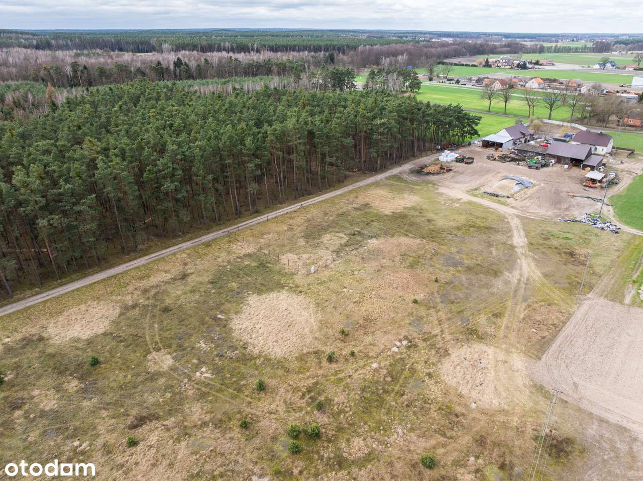 Las za oknem, śpiew ptaków w gratisie, oaza spokoju/Murzynowo Leśne-6