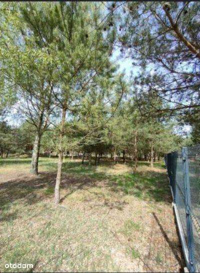 1460 m2 Piękna działka budowlana przy  Bolimowskim Parku Krajobrazowym-3