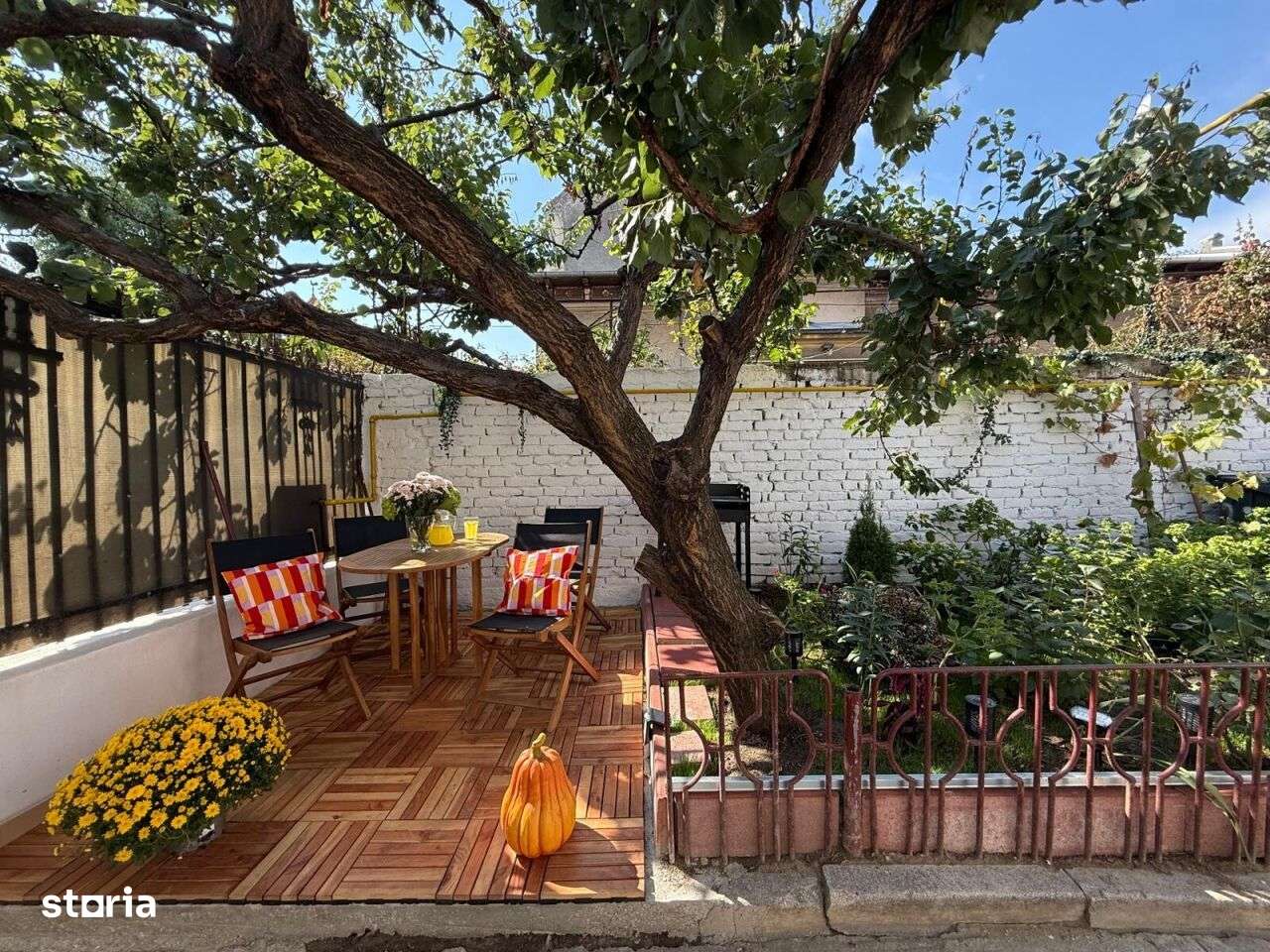 Povestea coltului de rai din mijlocul orasului - Imagine principală: 3/16