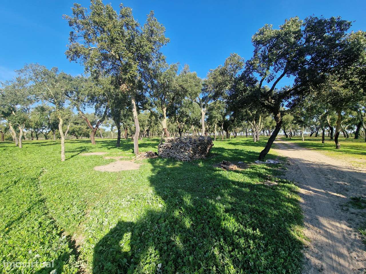 Monte c/cerca de 27h, em Abela, Santiago do Cacém - Grande imagem: 2/12