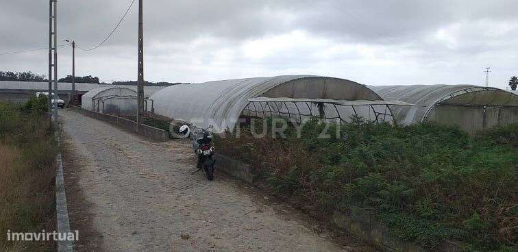 Terreno com 3285 m2 em Terroso Póvoa de Varzim. - Grande imagem: 2/4