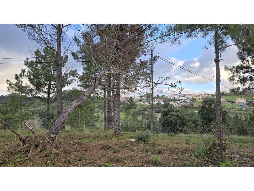 Vende Terreno - Ericeira 6 km, A Casa das Casas - Grande imagem: 5/10