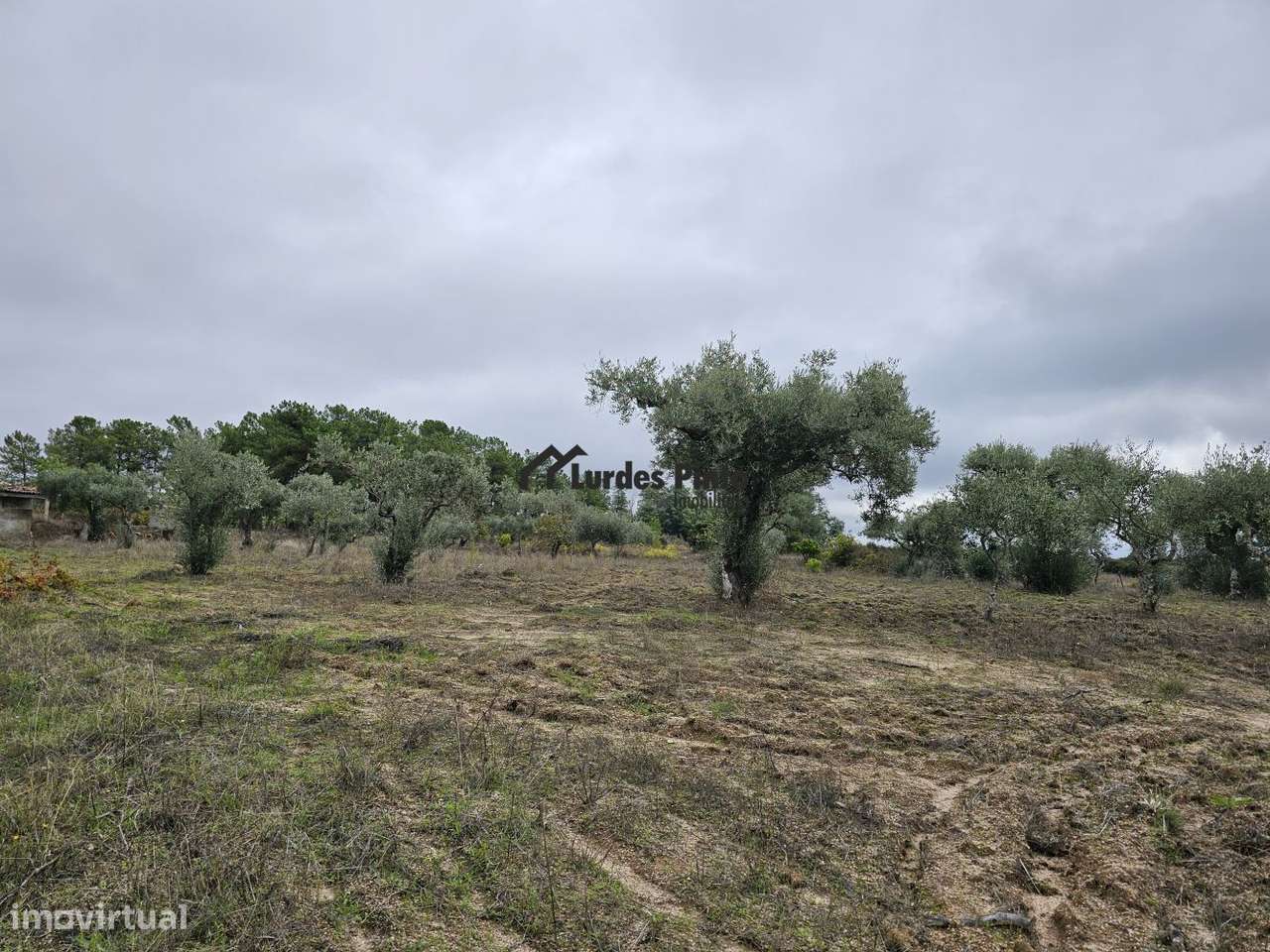 Quinta com construção em pedra-19