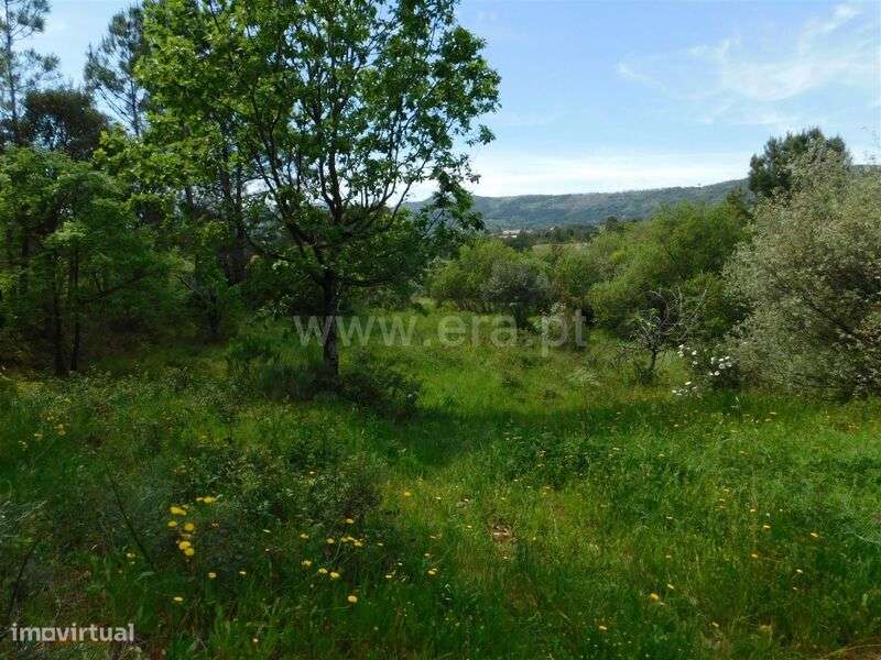 Terreno / Fundão, Vale Prazeres - Grande imagem: 4/11