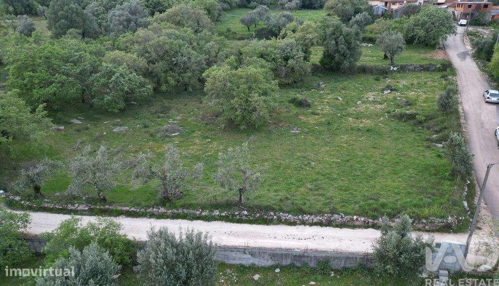 Terreno para construção em Cumeeira de 1480,00 m2 - Grande imagem: 4/10