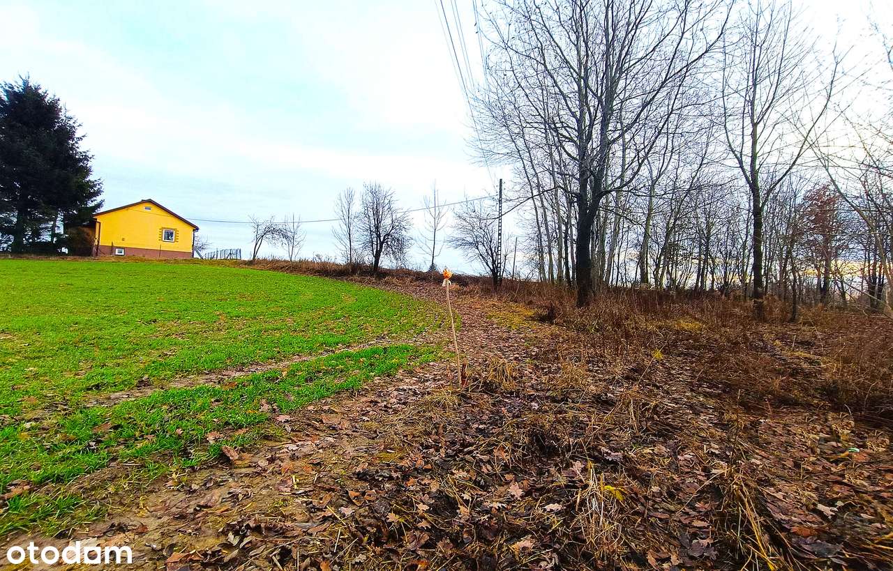 Działki Dębowiec, 10 km od Zamościa - Pełny obrazek: 4/16
