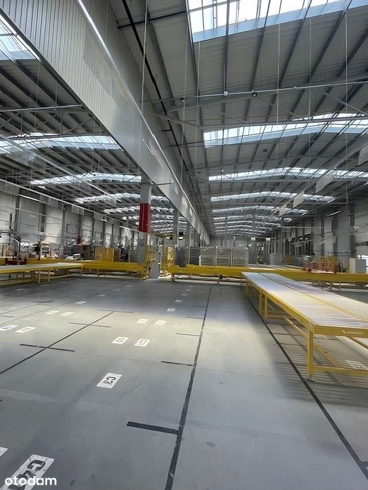 Magazyn na wynajem w Łodzi!  Dostępny od 11.2026 - Pełny obrazek: 4/4