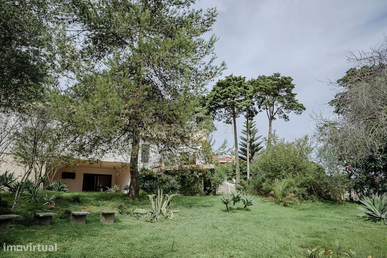 Moradia Contemporânea dos Anos 70 em Brancanes, Setúbal - Grande imagem: 5/47