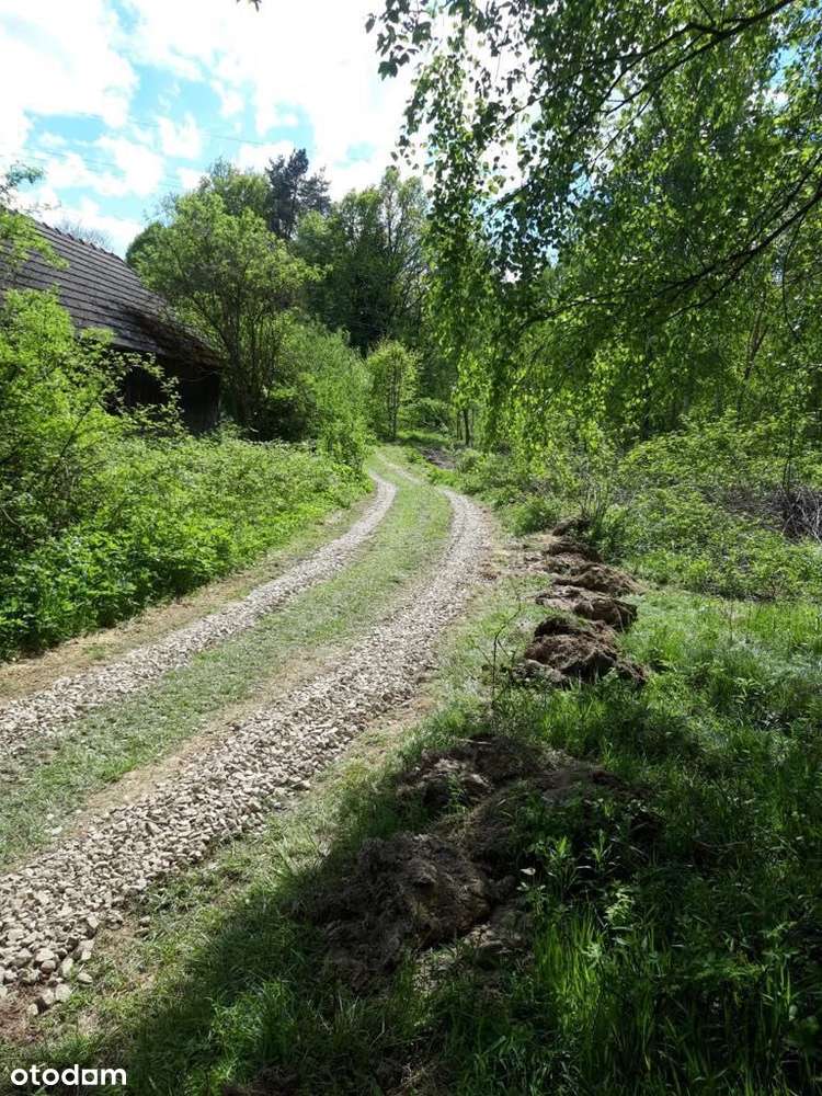 Działka z WZ | 0,92 ha | Malownicza przyroda - Pełny obrazek: 5/20