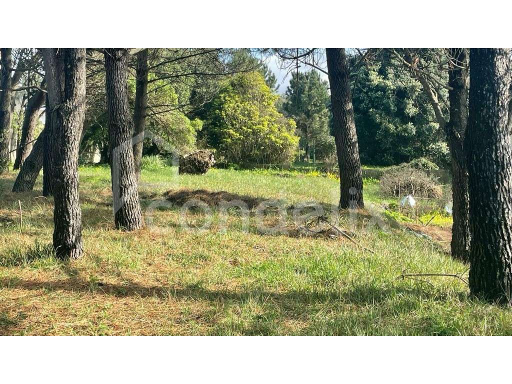 Terreno a 100 metros da praia de Valadares, Vila Nova de Gaia - Grande imagem: 3/15