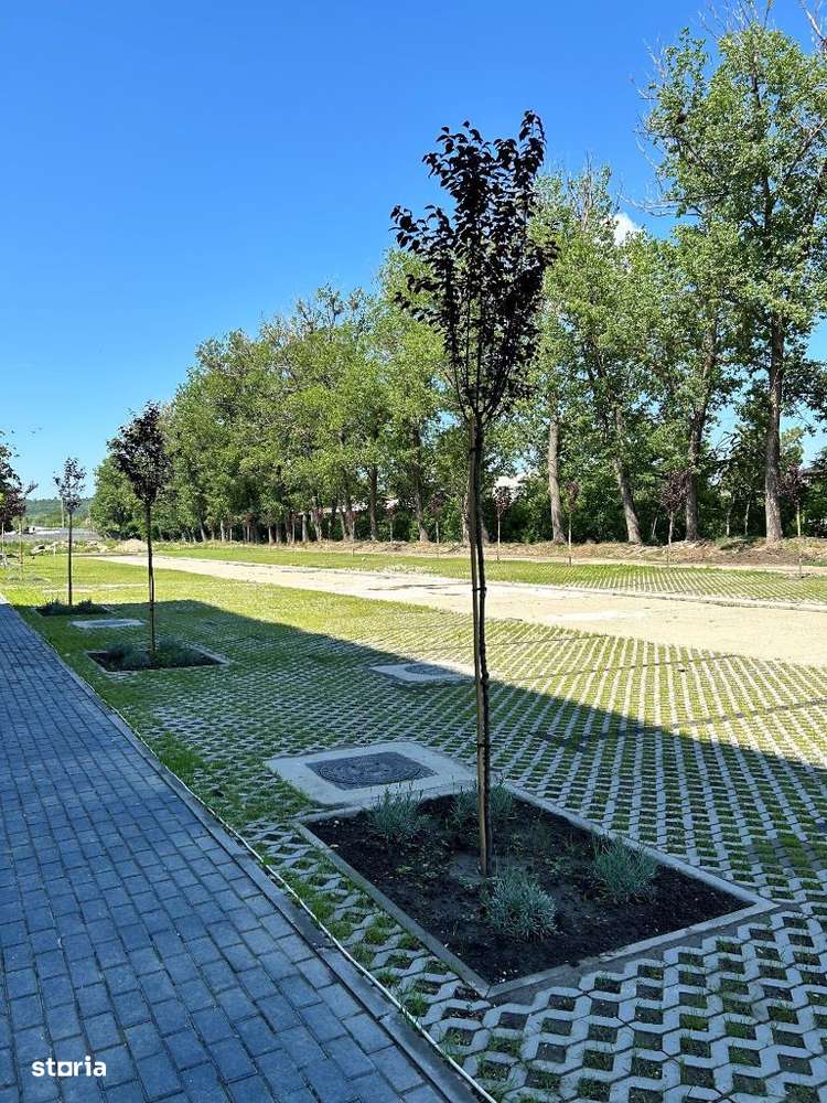 Loft open space  pe 2 nivele - Rezidential Movas-13