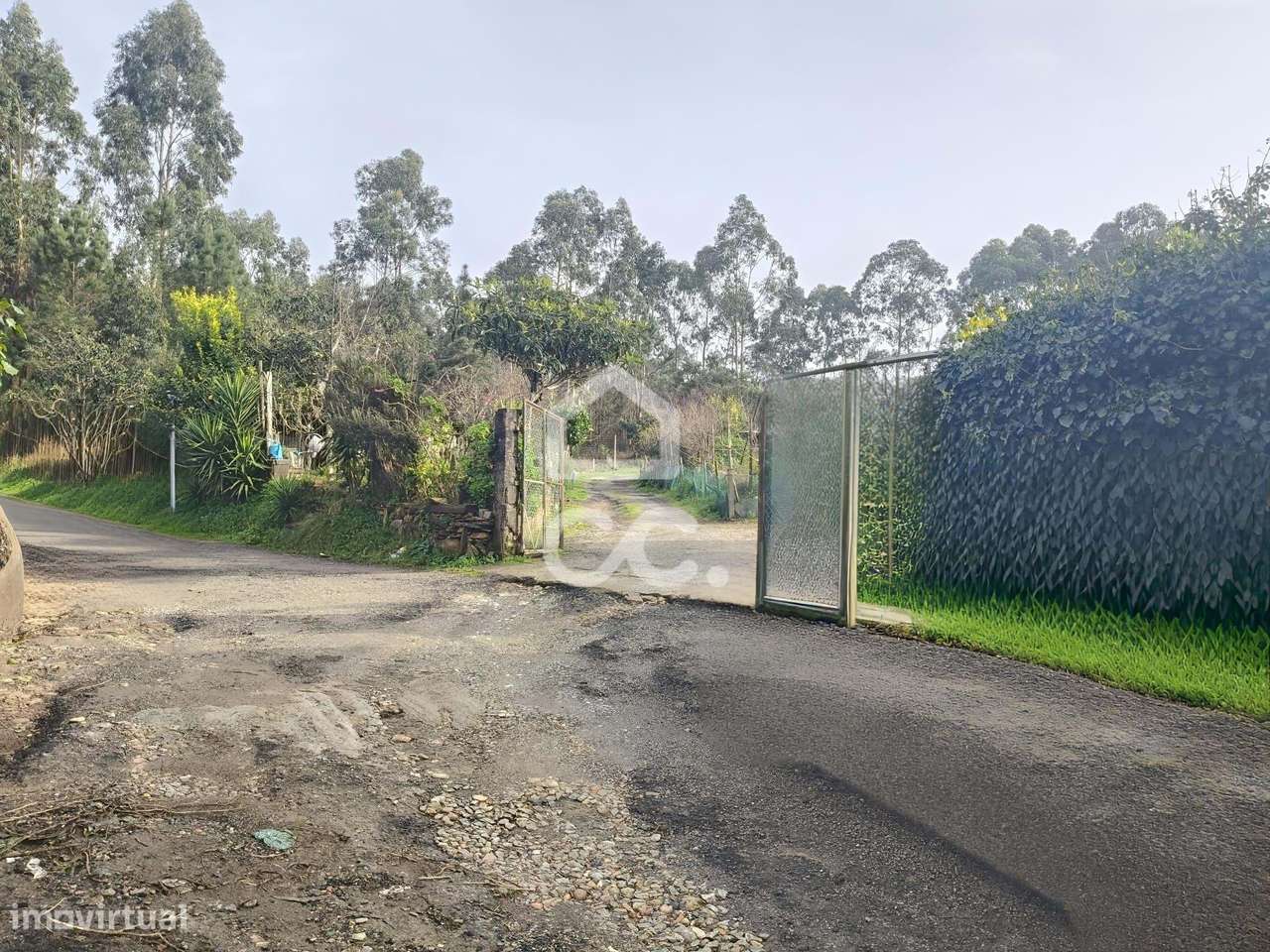 Lote de Terreno para Desenvolvimento | 8.800 m² | Valongo | Com Rendim - Grande imagem: 4/17