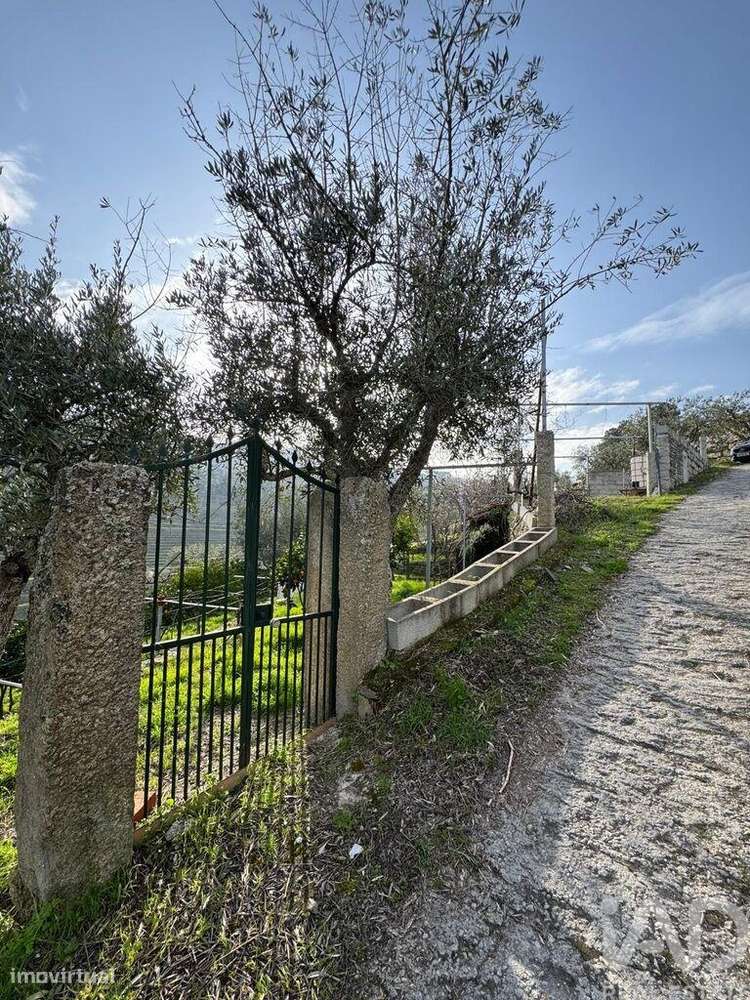 Terreno Agrícola em Tabuaço - Grande imagem: 4/16