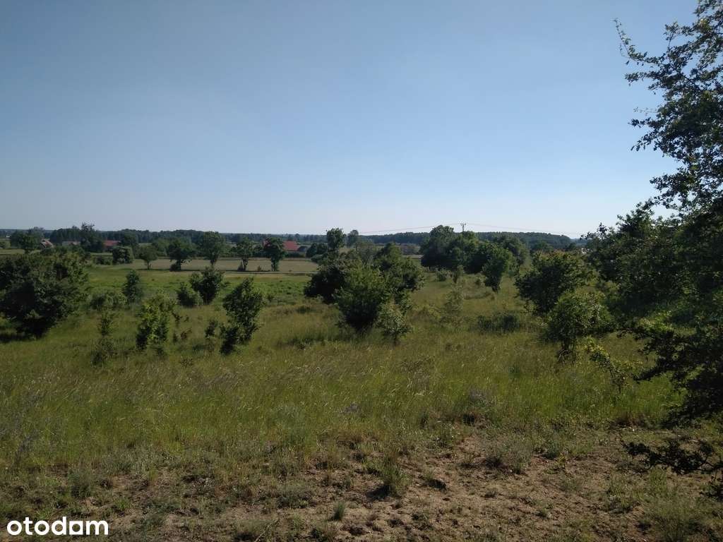 TANIA Dz. bud., Łęgowo, woj. Lubuskie, 36972zł-6