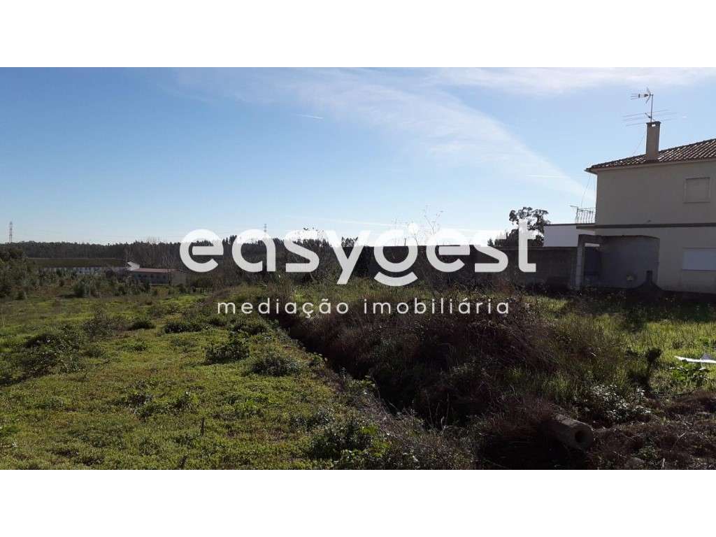 Terreno Construção de Moradia Isolada-Paião - Grande imagem: 3/4