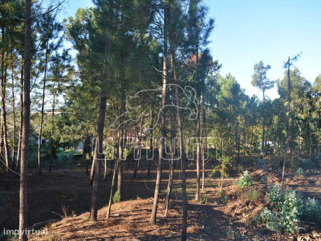 Terreno em São Salvador da Torre - Grande imagem: 4/5