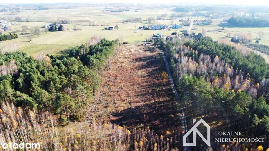 5 działek w miejscowości Nowa Maliszewa na sprzedaż! - Pełny obrazek: 5/10