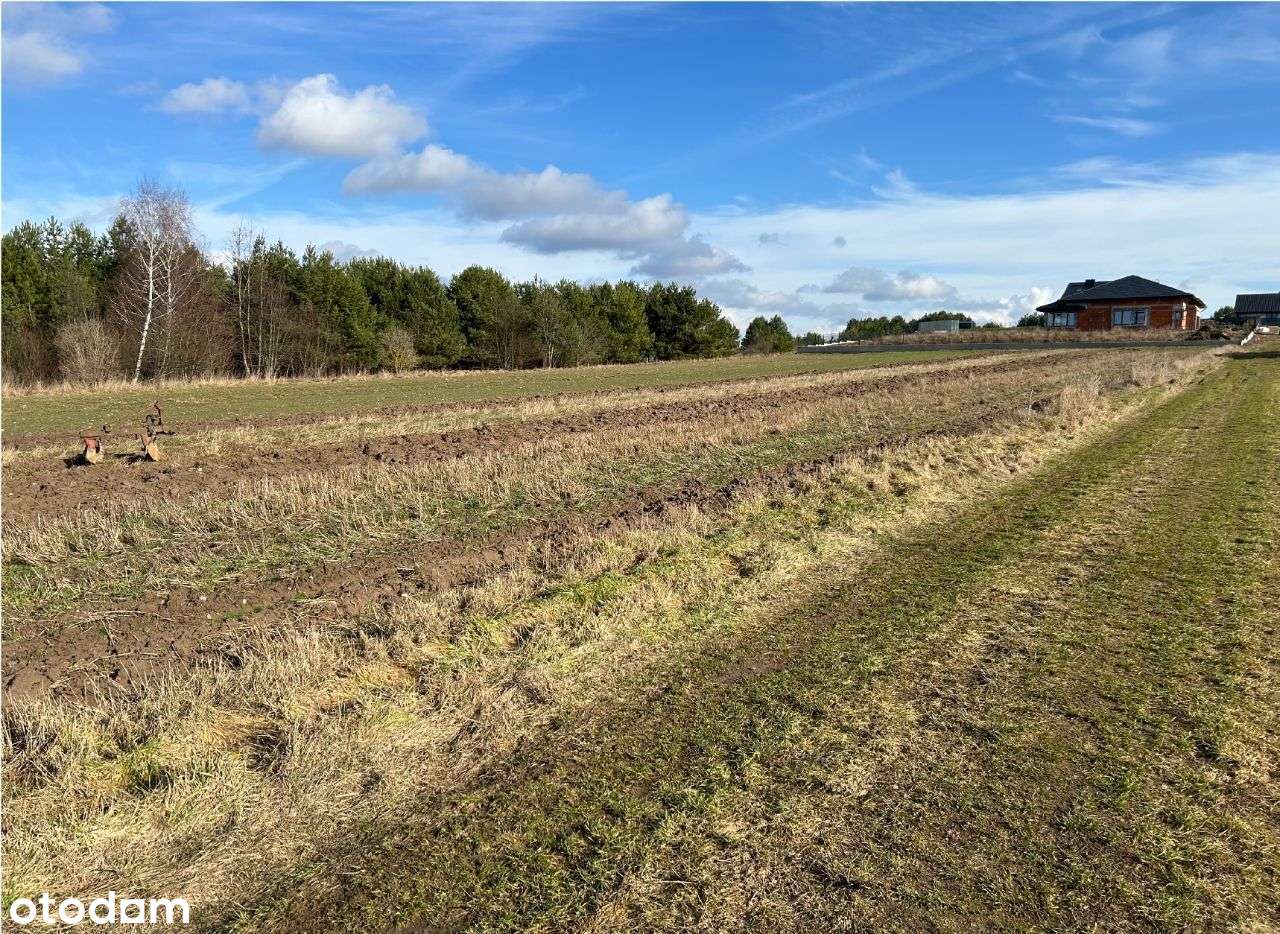 Działka 1009 m2 w Nowodworcach - Pełny obrazek: 4/4