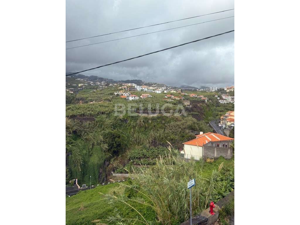 MORADIA T3 || CÂMARA DE LOBOS-37