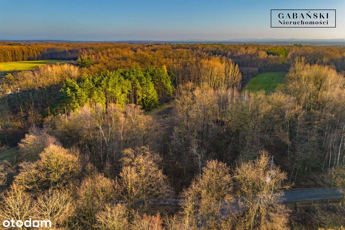 Działka budowlana na sprzedaż - Zaczarnie-7