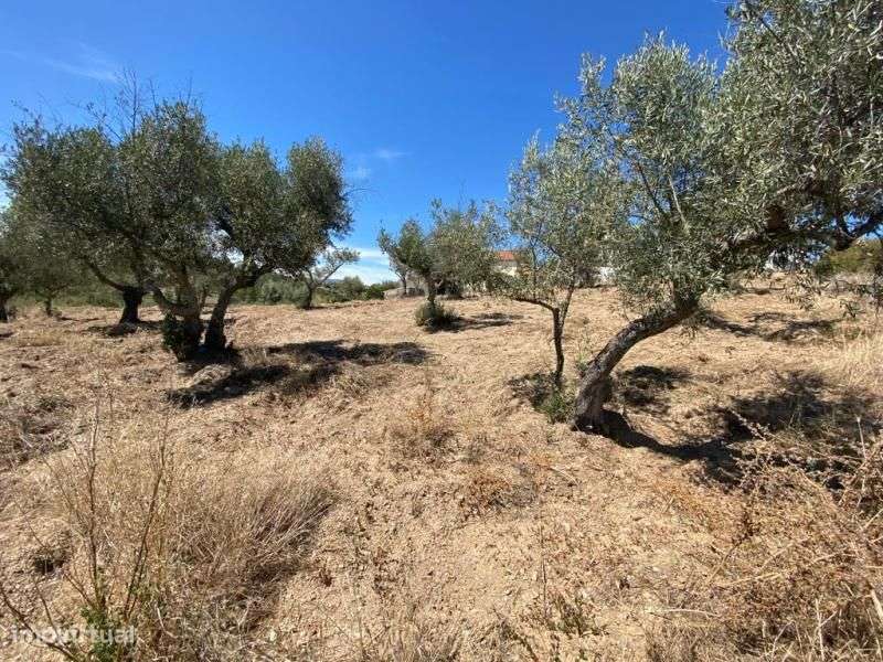 Quinta - Grande imagem: 4/4