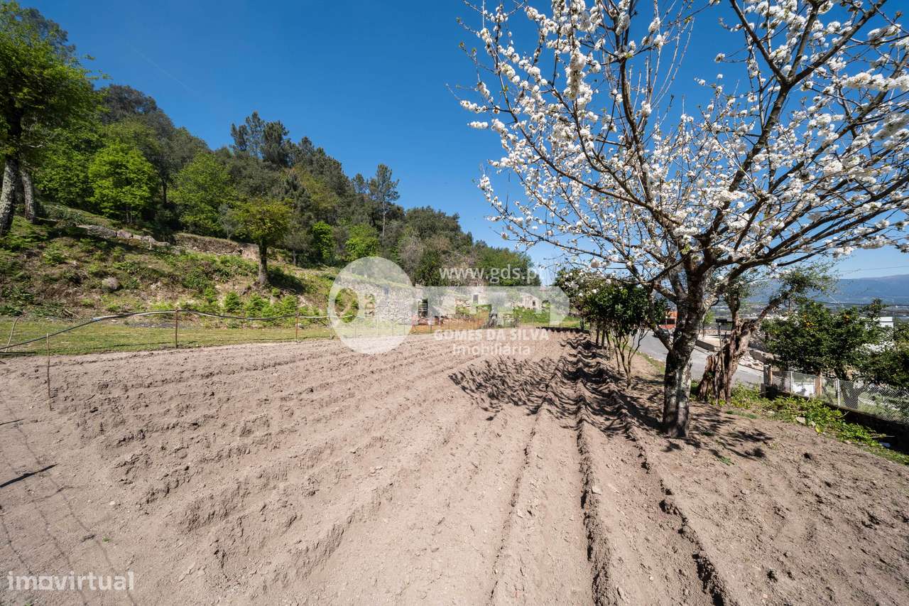 Ruína p/ restauro com 4.800m2 de terreno-22