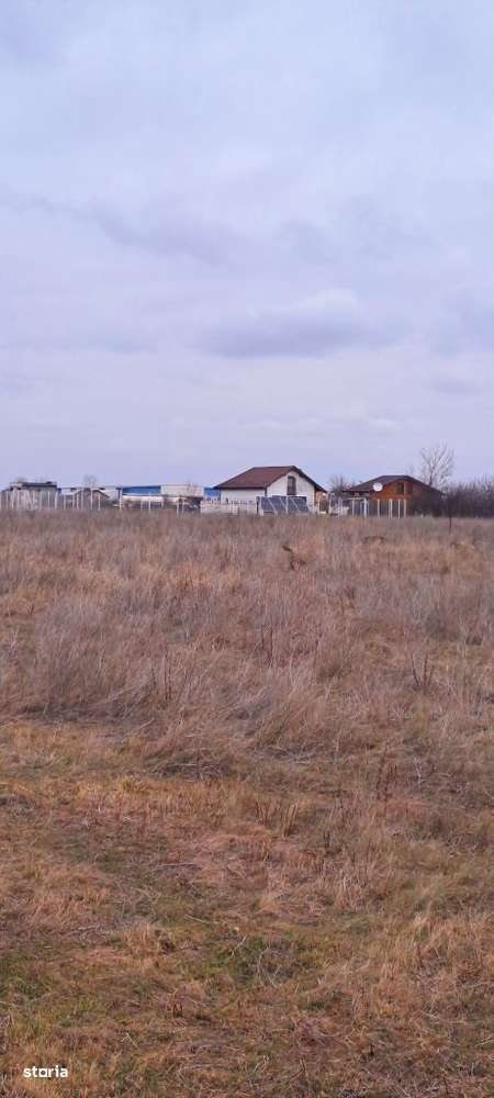 Intravilan Cârcea, 392 mp, pe lângă depozitul de legume-fructe - Imagine principală: 5/5