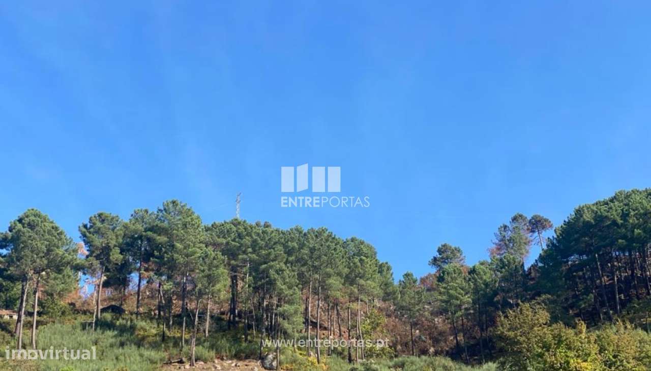 Venda Terreno, São Cristóvão de Nogueira, Cinfães - Grande imagem: 5/8