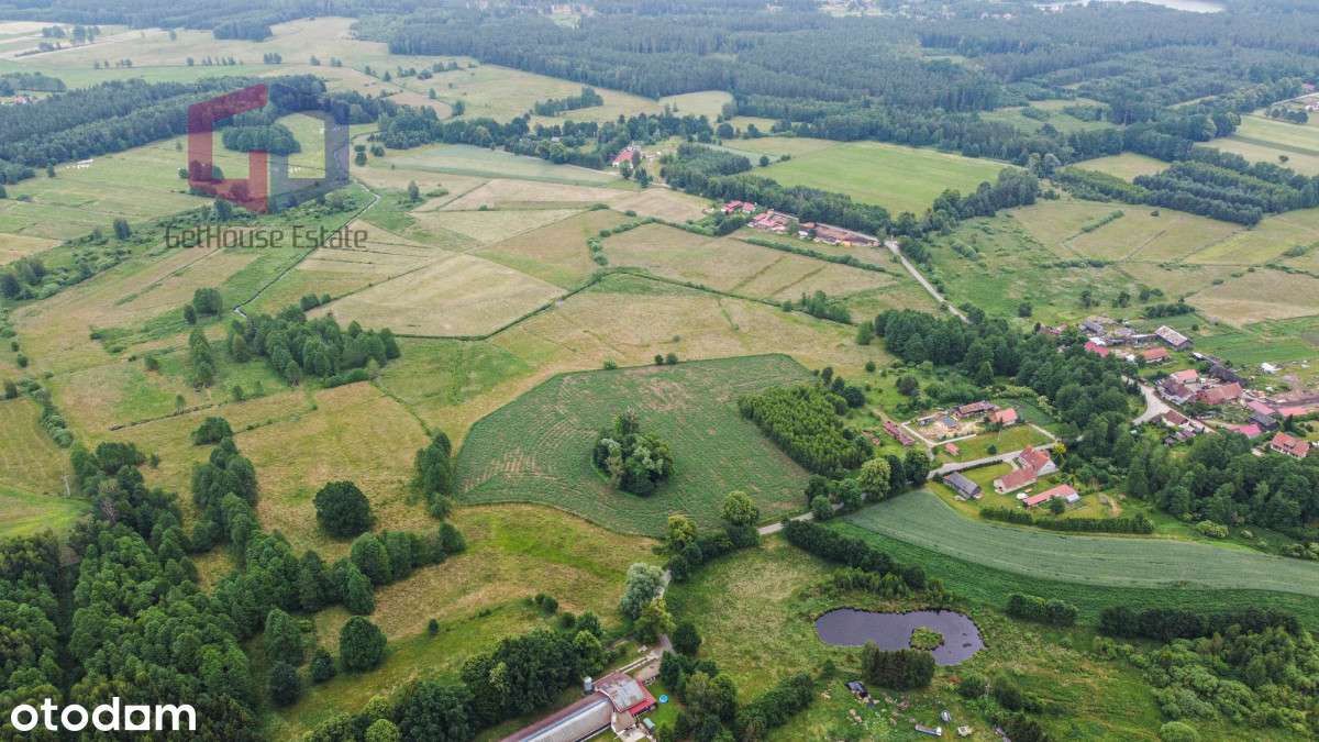 Tanie działki w spokojnej okolicy z linią rzeki - Pełny obrazek: 4/11