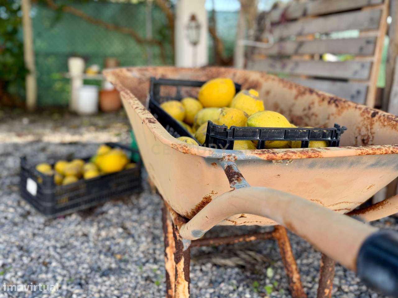 O seu refúgio de sonho no coração do Algarve, a poucos minutos da Prai-22