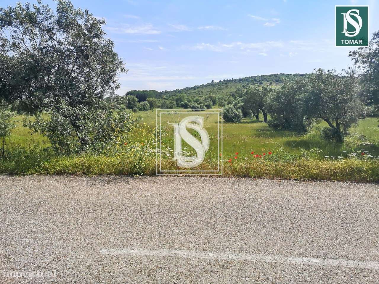 Terreno  em Chãos - Grande imagem: 4/9