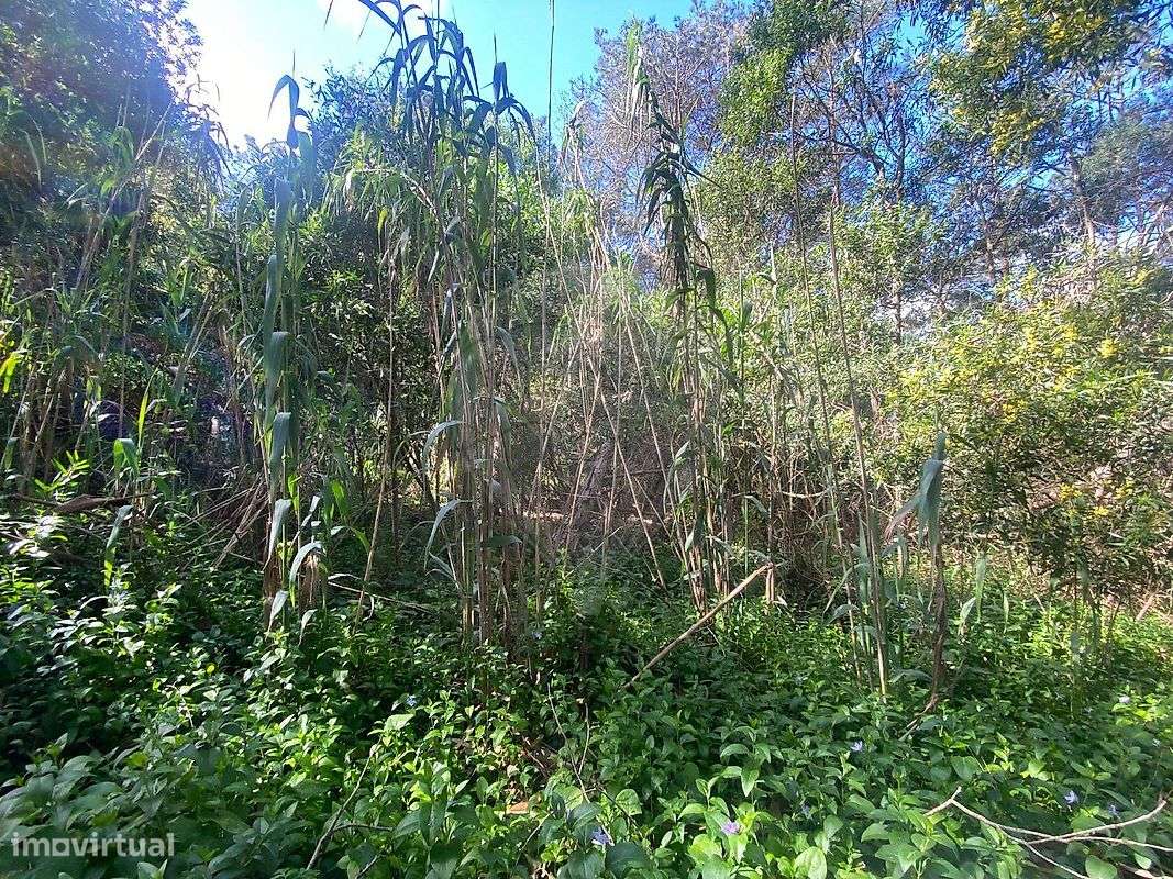 Terreno  para venda - Grande imagem: 4/17