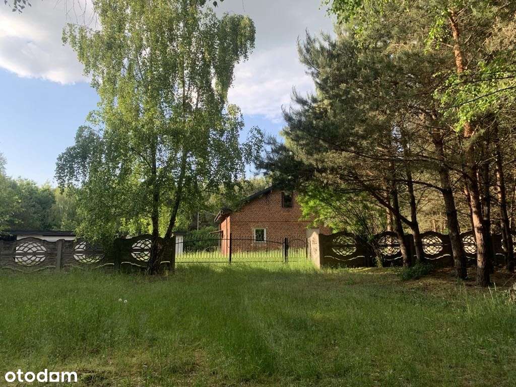 dom w środku lasu gm. Izbica Kujawska woj Kujawsko-9