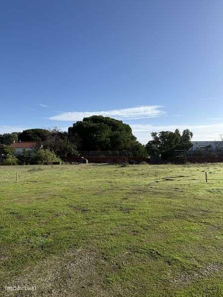 Para morar ou investir 400 mtrs2 - Grande imagem: 4/6