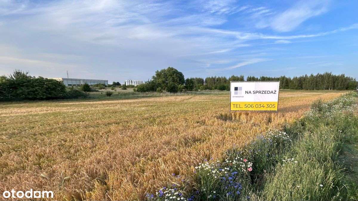 Działka inwestycyjna (1,34 ha) Tranowo Podgórne-6