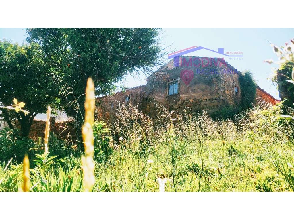 Casa T3 para reconstrução, com imenso potencial - Grande imagem: 5/37