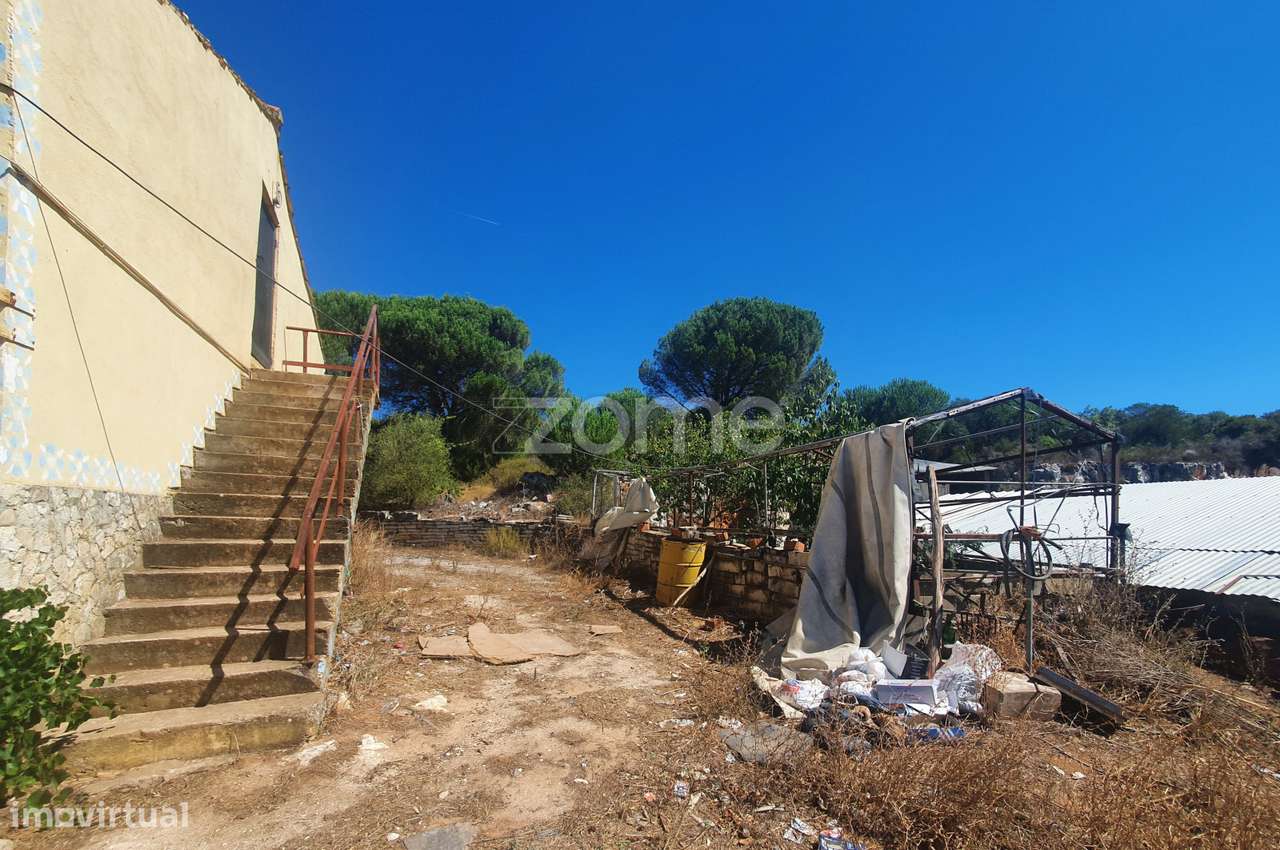 Moradia isolada com 10 assoalhadas e mais de 11000 m2 - Grande imagem: 4/28