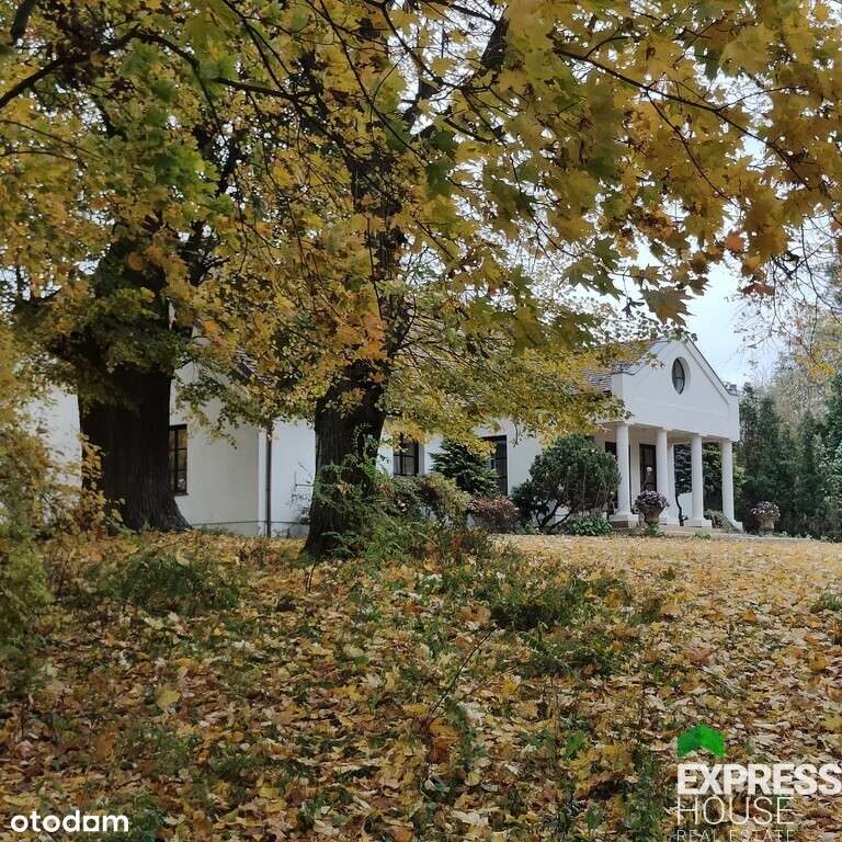 Dworek w klimatycznym otoczeniu starych drzew - Pełny obrazek: 4/20