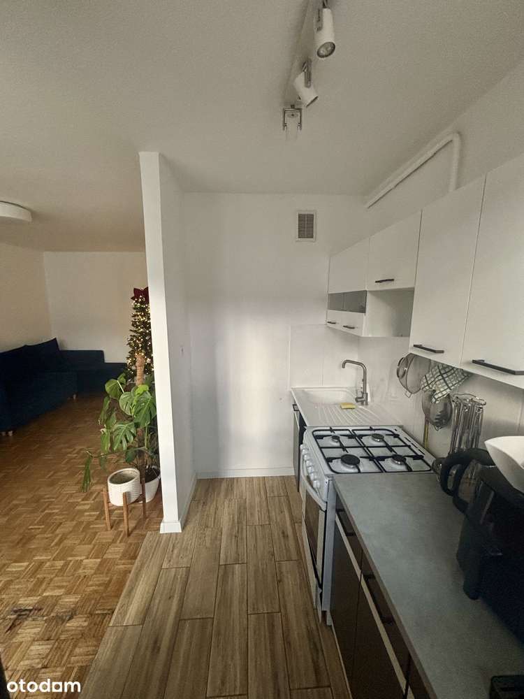 Mieszkanie na zielonym Grabiszynie - Pełny obrazek: 4/13