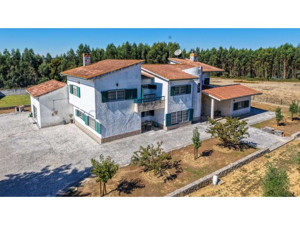 Quinta com 3,14 Hectares e Piscina | Ferreira do Zêzere-52