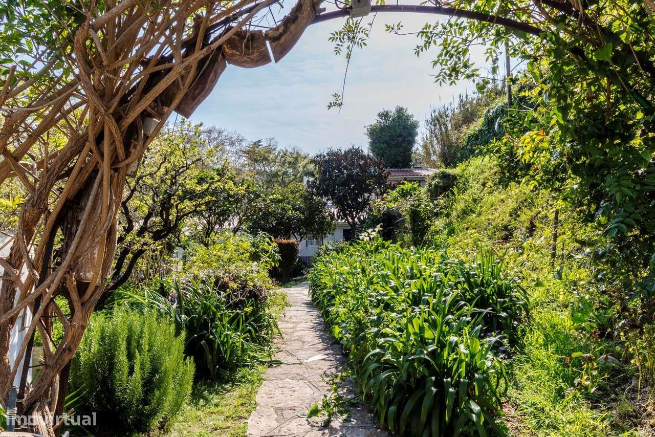 Moradia T6 c/ Terreno de 1600m2 c/ Piscina, Garagem e Anexos em Colare-10