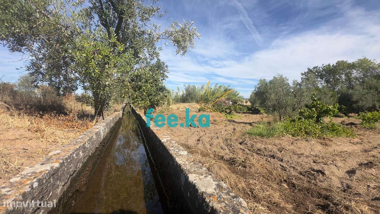 Terreno em Ladoeiro-41