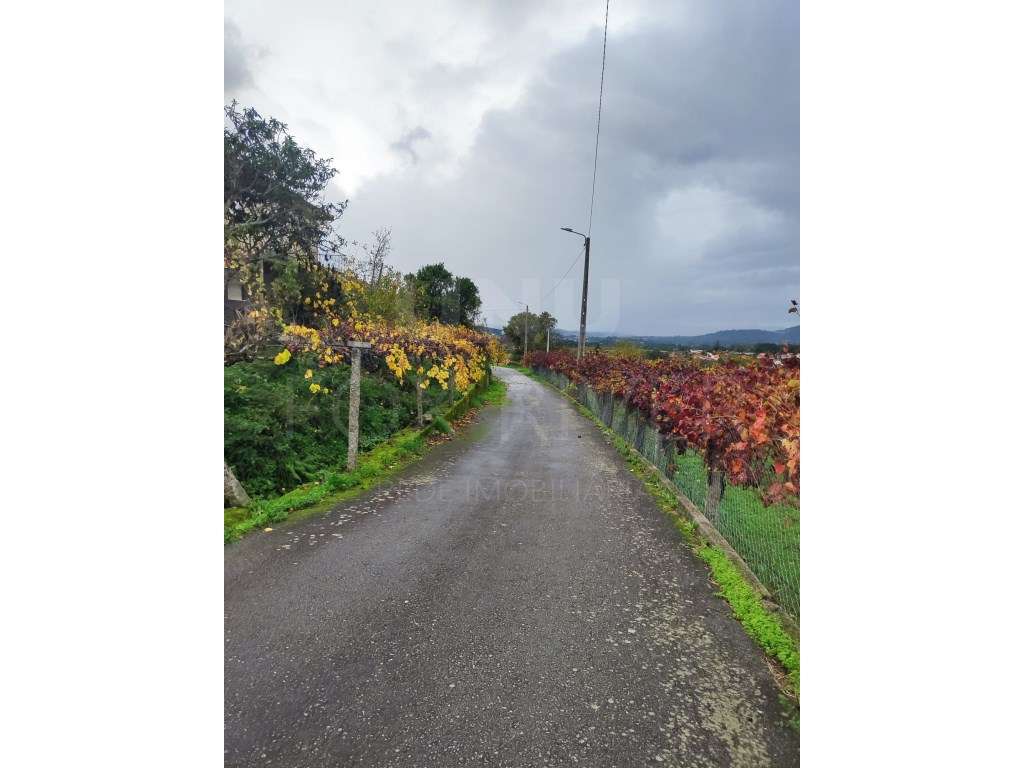 Terreno para Construção - Messegães, Valadares e Sá - Grande imagem: 5/6