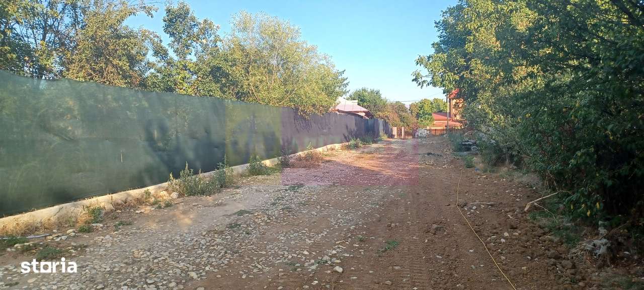 Săbăreni, lot de casă 500 mp, curent lângă teren - Imagine principală: 5/5