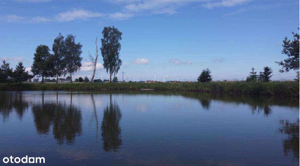 Zaproponuj cenę! siedlisko ze stawem 1,1005 ha - Pełny obrazek: 4/8