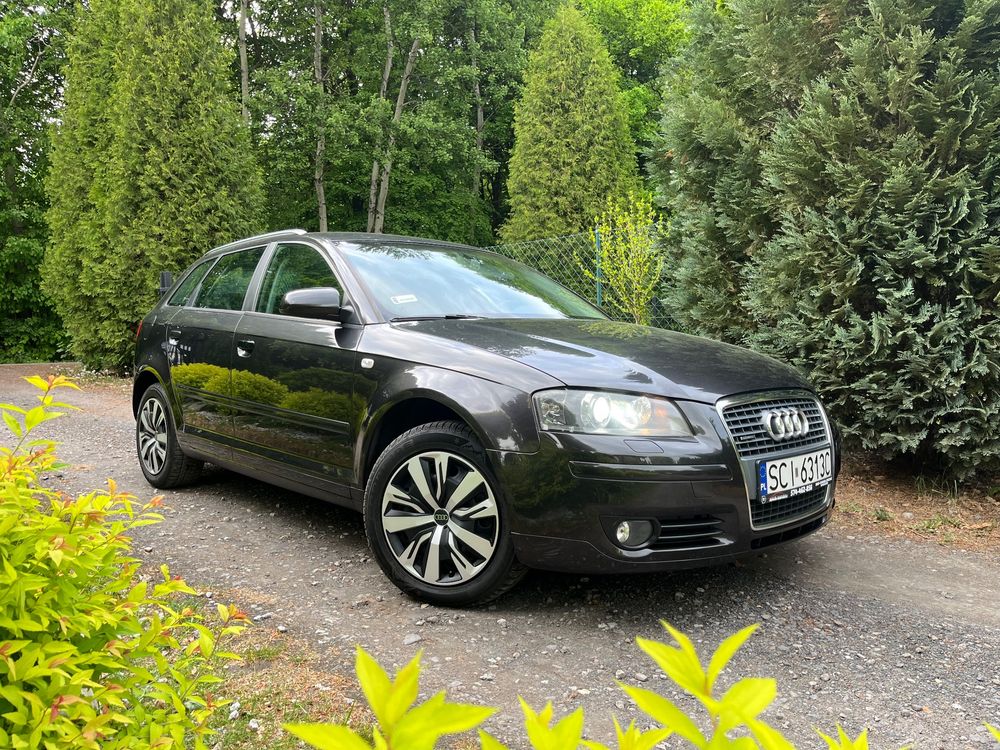 Audi A3 8P 2.0 TDI DPF Quattro Ambiente 2008